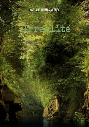 Téléchargez le livre :  Irréalité