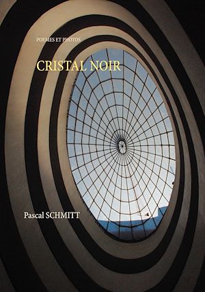 Téléchargez le livre :  CRISTAL NOIR
