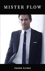 Télécharger le livre :  Mister Flow