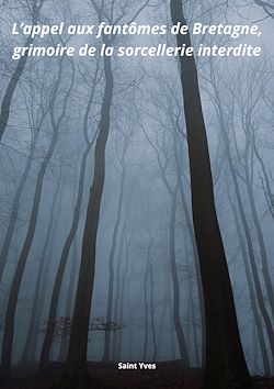 Télécharger le livre :  L'appel aux fantômes de Bretagne