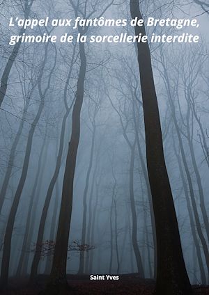 Téléchargez le livre :  L'appel aux fantômes de Bretagne
