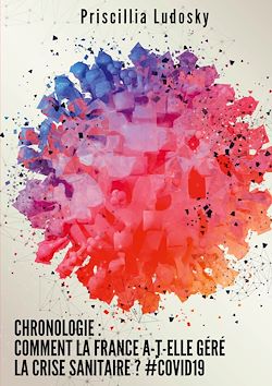 Télécharger le livre :  Chronologie : Comment la France a-t-elle géré la crise sanitaire ? #Covid19