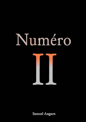 Téléchargez le livre :  Numéro II