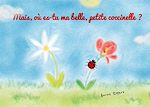 Télécharger le livre :  Mais, où es-tu ma belle, petite coccinelle?