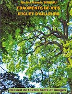 Télécharger le livre :  Fragments de vies d'ici et d'ailleurs