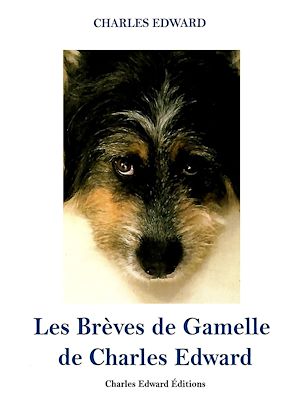 Téléchargez le livre :  Les Brèves de Gamelle
