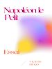 Télécharger le livre :  Napoléon le Petit