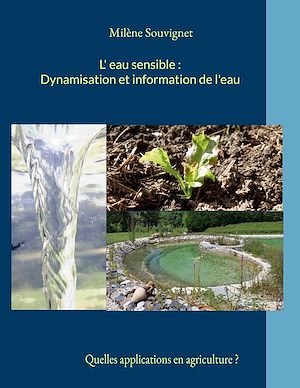 Téléchargez le livre :  L'eau sensible : Dynamisation et information de l'eau