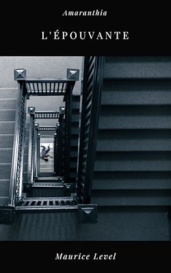 Télécharger le livre :  L'Epouvante