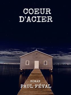 Télécharger le livre :  Coeur d'Acier