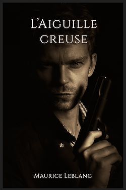 Télécharger le livre :  L'Aiguille creuse