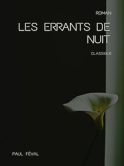 Télécharger le livre :  Les Errants de nuit