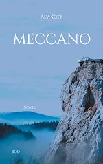 Download this eBook Meccano