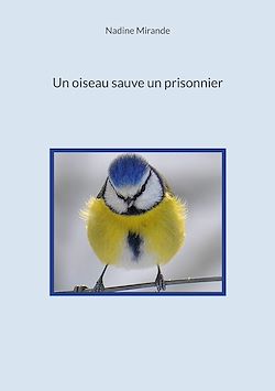 Télécharger le livre :  Un oiseau sauve un prisonnier