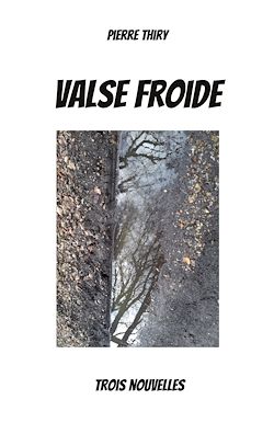 Télécharger le livre :  Valse froide