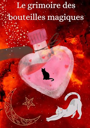 Download the eBook: Le grimoire des bouteilles magiques