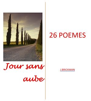 Download the eBook: Jours sans aube