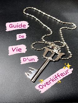 Télécharger le livre :  Guide de Vie d'un Overkiffeur