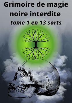 Télécharger le livre :  Grimoire de magie noire interdite