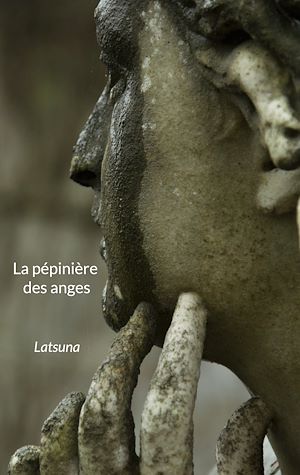 Téléchargez le livre :  La pépinière des anges