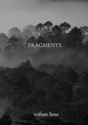 Download the eBook: Fragments