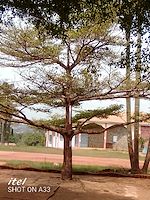 Télécharger le livre :  Conversation