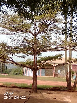 Download the eBook: Conversation