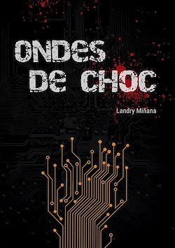 Télécharger le livre :  Ondes de choc