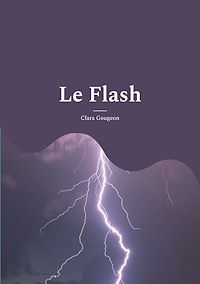 Téléchargez le livre :  Le Flash