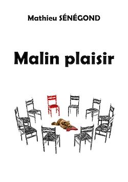Télécharger le livre :  Malin plaisir