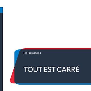 Téléchargez le livre :  Tout est carré