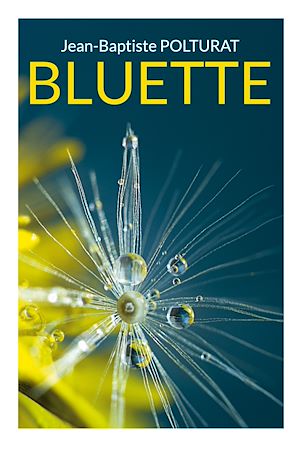Download the eBook: Bluette
