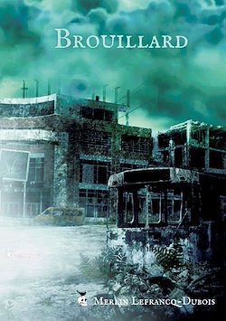 Télécharger le livre :  Brouillard