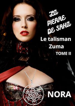 Télécharger le livre :  La pierre de Srha