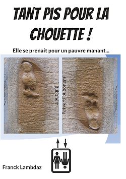 Télécharger le livre :  Tant pis pour la chouette !