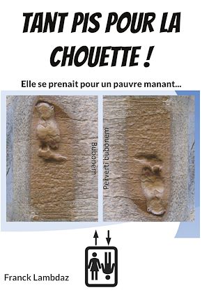 Téléchargez le livre :  Tant pis pour la chouette !