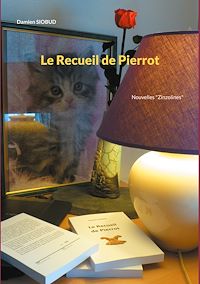 Téléchargez le livre :  Le Recueil de Pierrot