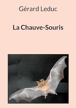Télécharger le livre :  La Chauve-Souris