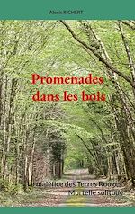 Download this eBook Promenades dans les bois