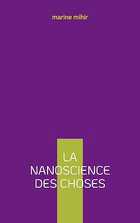 Téléchargez le livre :  la nanoscience des choses