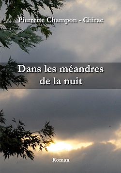 Télécharger le livre :  Dans les méandres de la nuit