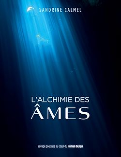 Télécharger le livre :  L'alchimie des âmes