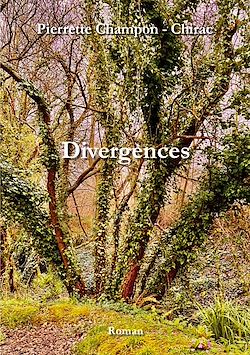 Télécharger le livre :  Divergences