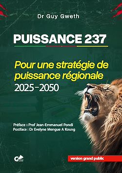 Télécharger le livre :  Puissance 237