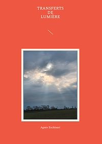 Téléchargez le livre :  Transferts de lumière