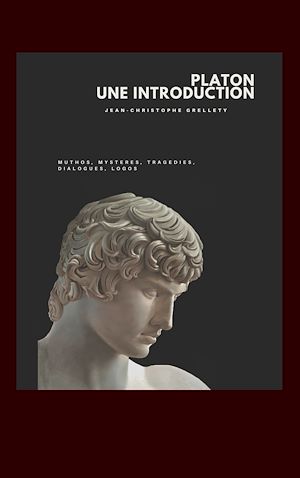 Téléchargez le livre :  Platon, une introduction