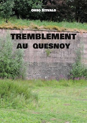 Téléchargez le livre :  Tremblement au Quesnoy