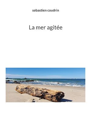 Téléchargez le livre :  La mer agitée