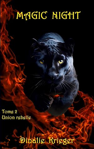 Téléchargez le livre :  Magic night
