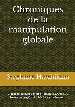 Télécharger le livre :  Chroniques de la manipulation globale